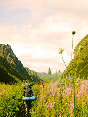 Kedarnath Badrinath With Valley of Flowers