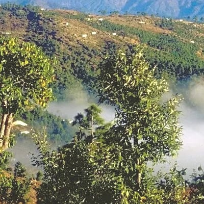Uttarakhand Tourism