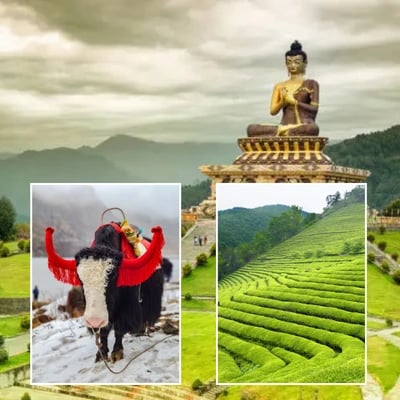 3 Nights 4 Days Sikkim Tour Package