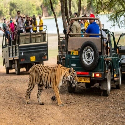 Rajasthan Wildlife Safari Tour