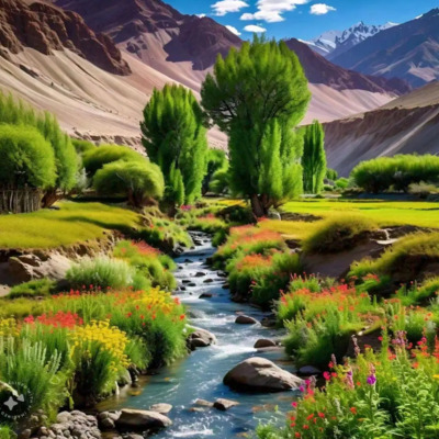Kushok Bakula Rimpoche Indus Valley Monasteries Khardungla Tour Package