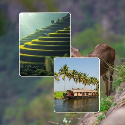 Munnar And Alleppey Tour Package