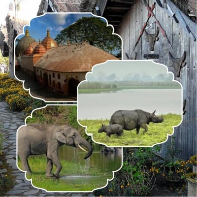 Guwahati Shillong Kaziranaga Tour Package