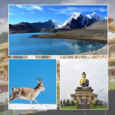 Gangtok Lachen Tour Package