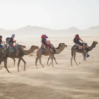 Golden Triangle With Camel Safari