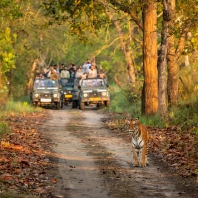 Golden Triangle Tour With Jim Corbett