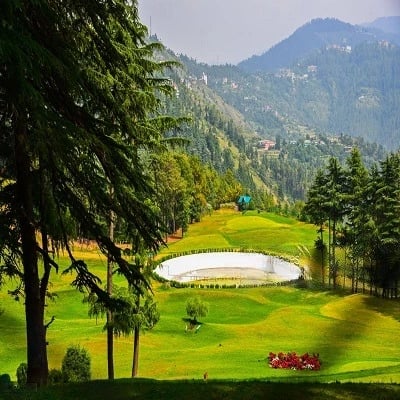 Shimla Naldehra & Mashobra Tour Package