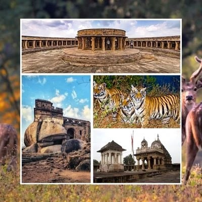 Jabalpur Bandhavgarh Kanha National Park Tour Package