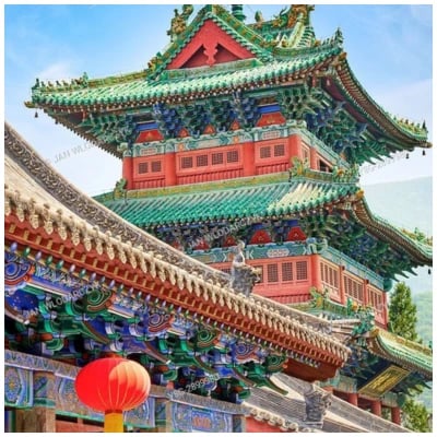 5 Nights 6 Days Buddhist Tour Package