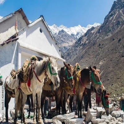 Char Dham Yatra Package From Kolkata