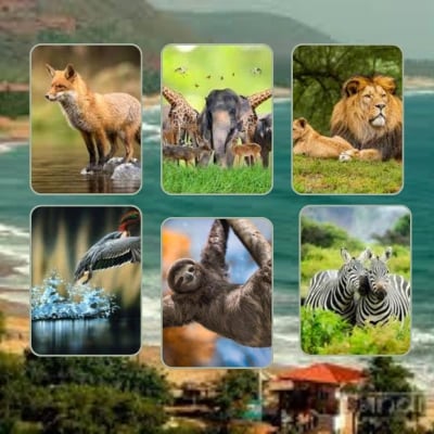 Odisha Wildlife Tour