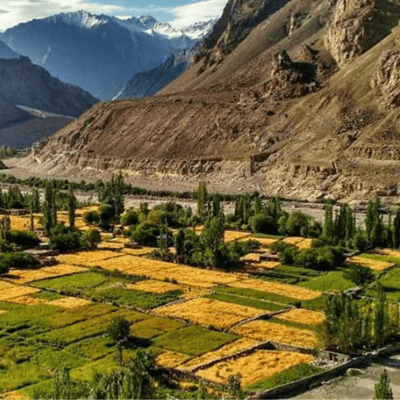 Leh Kali Temple Khardrungla Pass Shyok Nubra Valley Changla Pass Hemis Tour Package