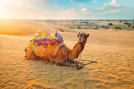 Explore Holiday Package of Rajasthan For The Lover of Tourism