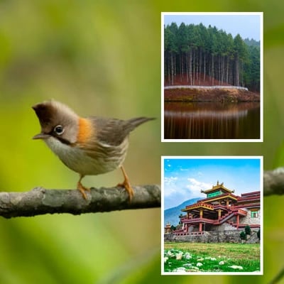 3 Nights 4 Days  Arunachal Tour Package