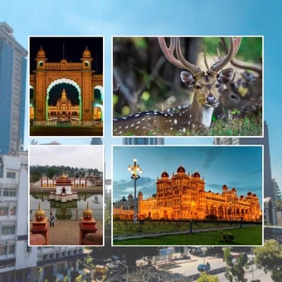 Coorg Mysore Ooty Kodaikanal Tour Package