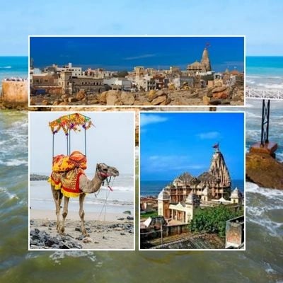 Gujarat Desert Beach Tour Package