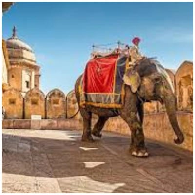 7 Nights 8 Days Rajasthan Tour Package