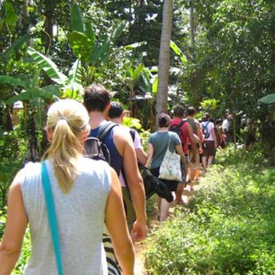 Kerala Tourism: Opening The Path To Deep Satisfaction And Personal Growth