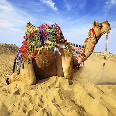 Jaipur Mandawa Bikaner Jaisalmer Jodhpur Ajmer Package
