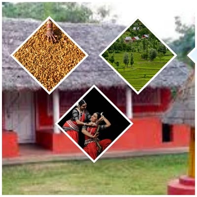 Odisha Tribal Tour