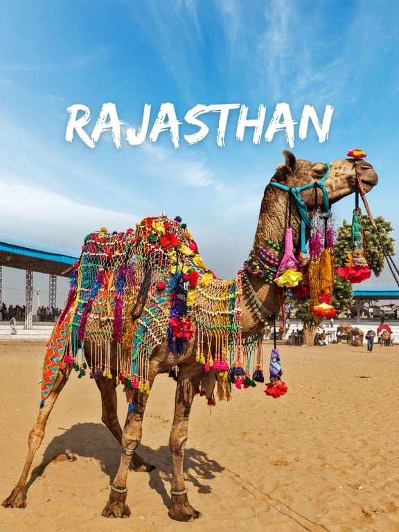 India Rajasthan Tour Packages Price