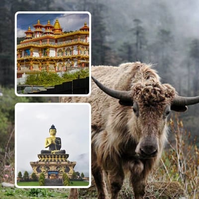 7 Nights 8 Days  Sikkim Tour Package