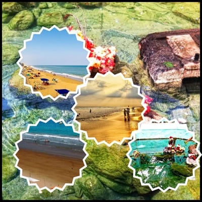 Bhubaneswar Puri Gopalpur Taptapani Konark Tour Package