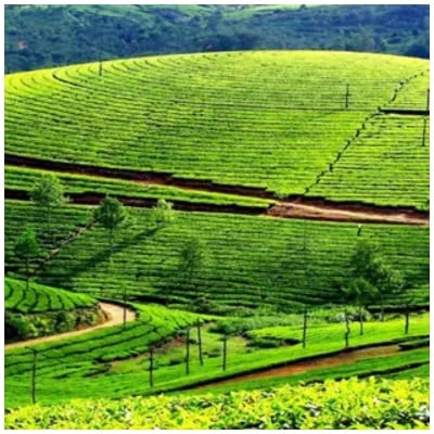 Rishikesh Nainital Kausani Ranikhet Tour Package