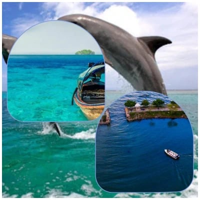 Puri Chilika Konarka And Bhubaneswar Tour Package