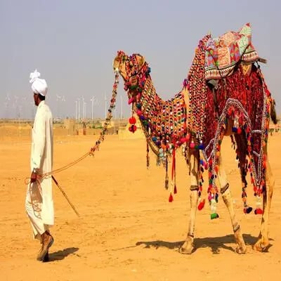 Rural Rajasthan Tour
