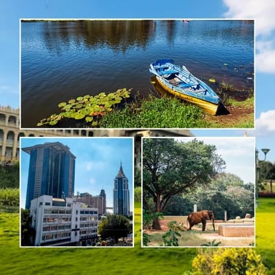 Bangalore Wayanad Ooty Mysore Tour Packages