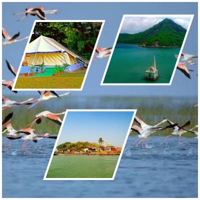 Bhubaneswar Puri Satapara And Chilka Tour Package