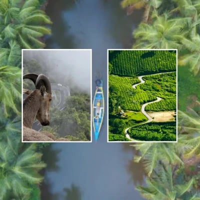 Munnar Tour Package