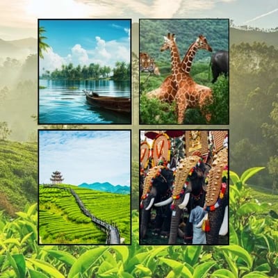 Alleppey Thekkady Tour Package